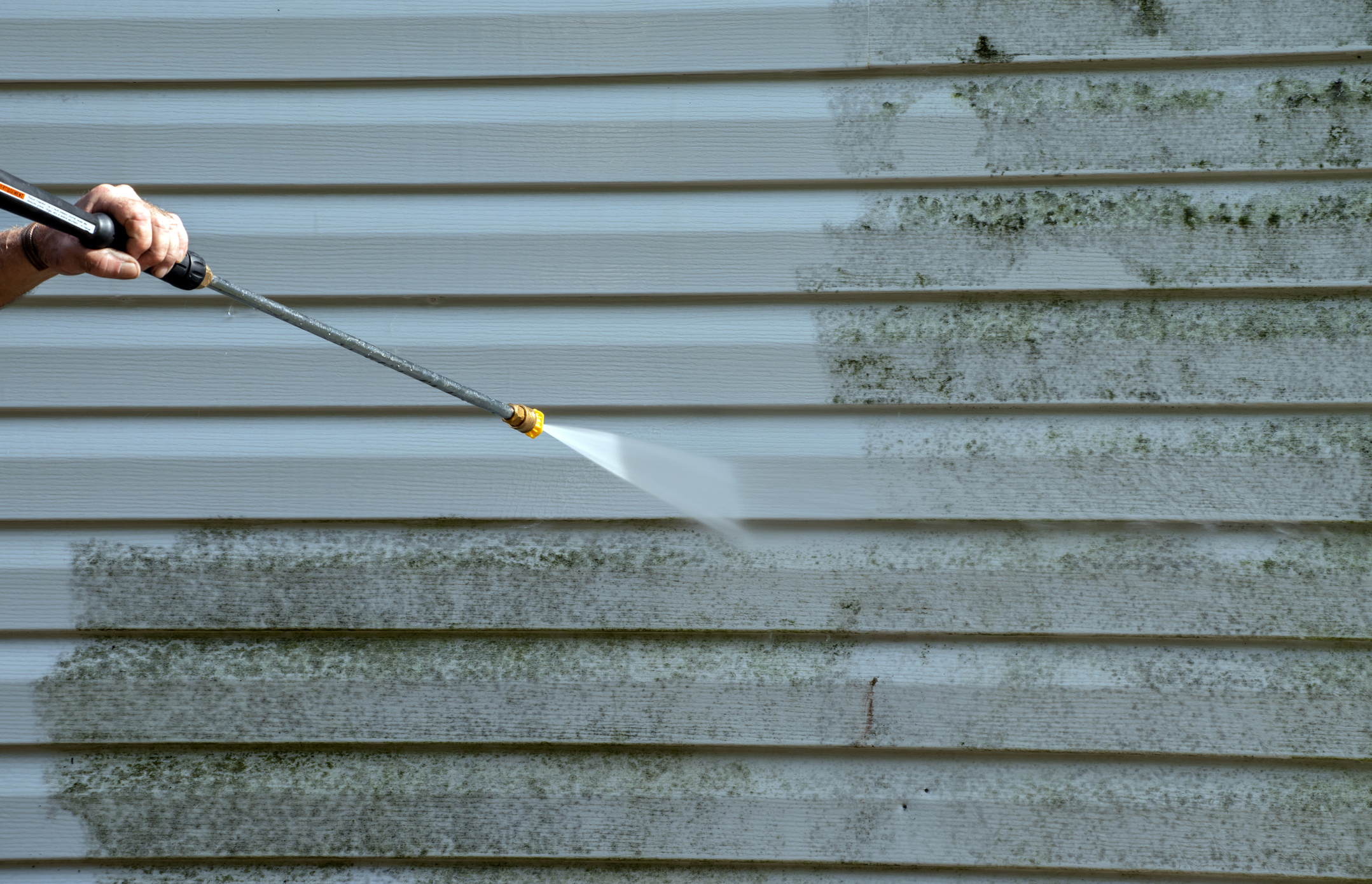 Professional soft wash house washing, Sunshine Coast home exterior